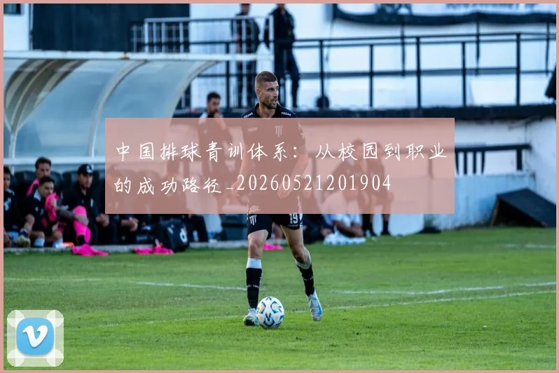中国排球青训体系：从校园到职业的成功路径_20260521201904